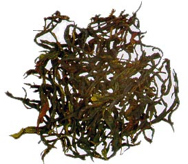 Oolong Tea - Phoenix Supreme